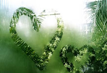 天涯四美男是哪四个