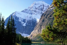 探索天涯第一神贴的魅力！哈哈，谁没听说过啊！这玩意儿在天涯论坛上简直就是神器，随便一篇帖子就能引爆整个社区。