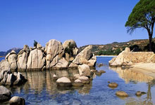 标题这段标题50字以内符合要求，说说天涯10大诡异神贴这些帖子在网上疯传大家看了都惊掉大牙真正是脑洞大开的奇葩故事。